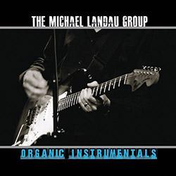 Michael Landau Group - Organic Instrumentals